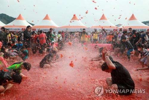 한여름 가족 축제 횡성 둔내고랭지토마토축제 9∼11일 개최