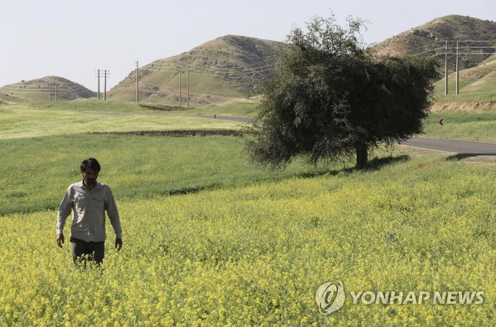 This image provided by the Busan International Film Festival shows a scene from "Scent of Wind." (PHOTO NOT FOR SALE) (Yonhap)