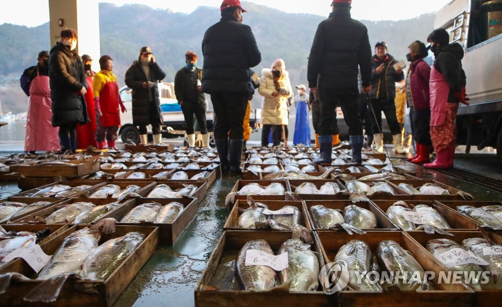 겨울철 대구 잡이 시작