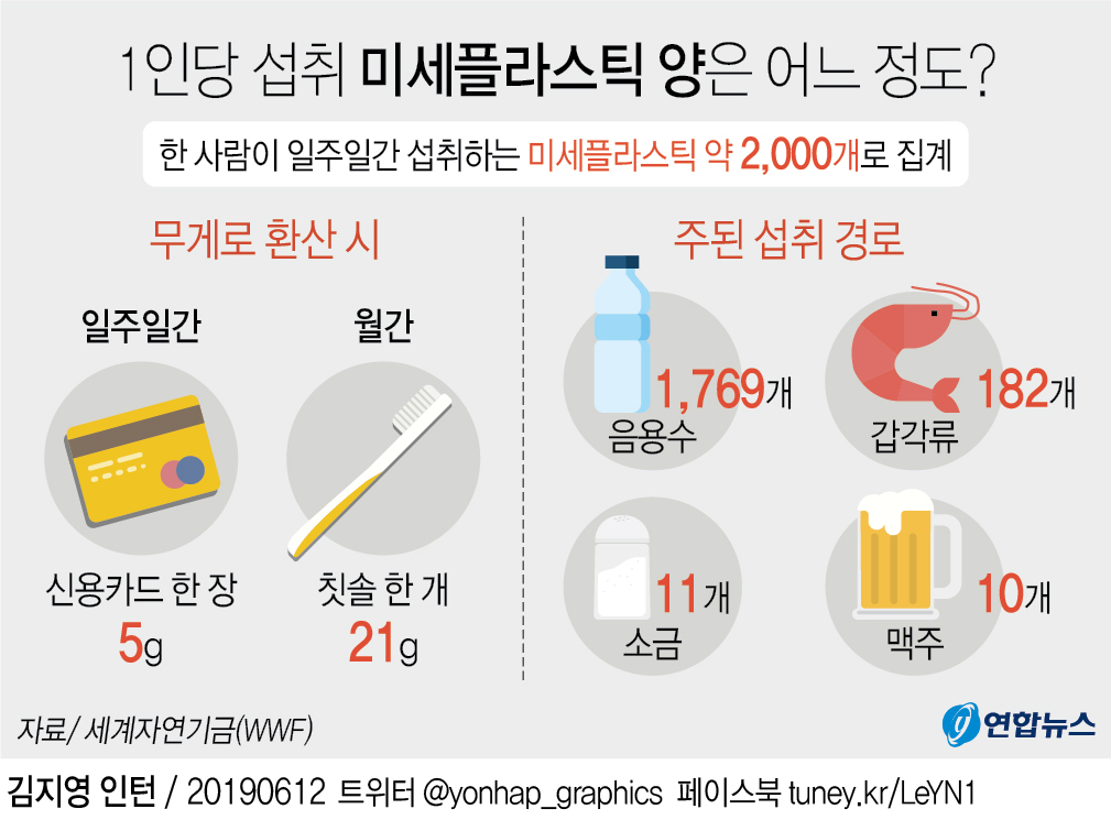 [그래픽] 1인당 섭취 미세플라스틱 양은 어느 정도?