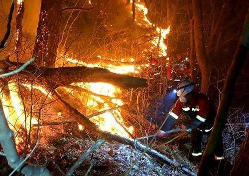اخماد حريق في جبل جيري بعد 21 ساعة ووفاة رجل إطفاء