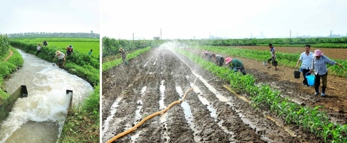 《劳动新闻》2日刊载农民在灌溉农田的照片。图片仅限韩国国内使用，严禁转载复制。（韩联社/《劳动新闻》）