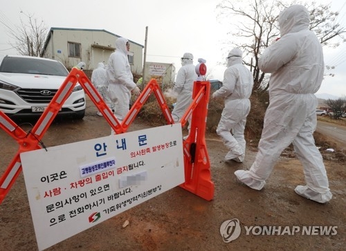 S. Korea culls more than 654,000 birds to stem spread of bird flu - 1