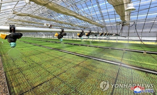 This photo, carried by North Korea's state news agency on June 25, 2018, shows a sapling nursery whose construction was completed a day earlier in the country's eastern Kangwon Province. (For Use Only in the Republic of Korea. No Redistribution) (Yonhap)