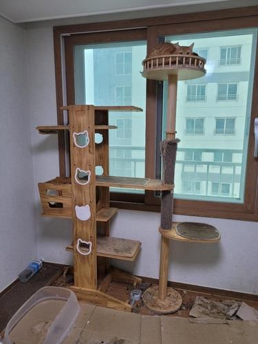 This photo, provided by the Jin Ward Office in Busan, shows an apartment in a mess after its owner falsely reported that a tenant moved out leaving 14 cats behind. (PHOTO NOT FOR SALE) (Yonhap)