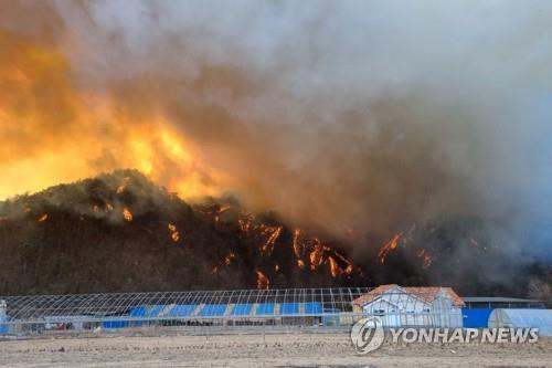 This photo, provided by the Korea Forest Service, shows a wildfire that broke out in the eastern coastal county of Uljin on March 4, 2022. (PHOTO NOT FOR SALE) (Yonhap)