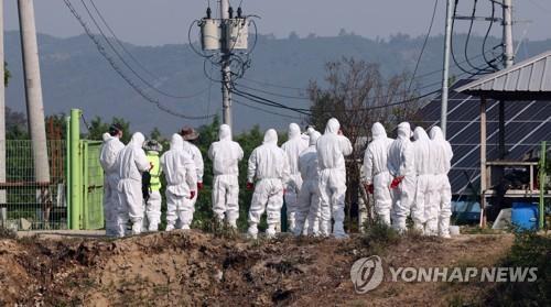 (LEAD) S. Korea to step up quarantine efforts against animal diseases