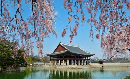 Le palais de Gyeongbok invitera de nouveau le public à découvrir son pavillon emblématique