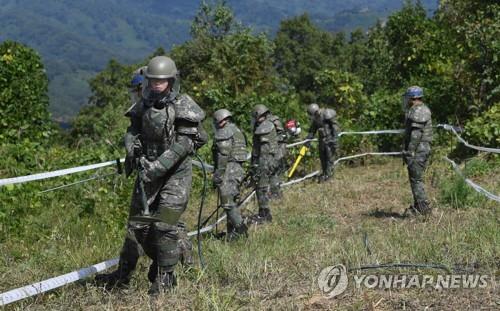 矢じり高地で行われている地雷撤去作業（写真共同取材団）＝３日、鉄原（聯合ニュース）