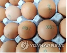 살충제 검출 농장 달걀