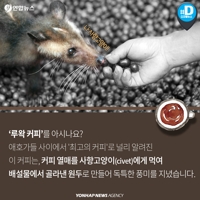 [카드뉴스] 최고의 커피?…'동물 똥 커피'의 빛과 그림자 - 2