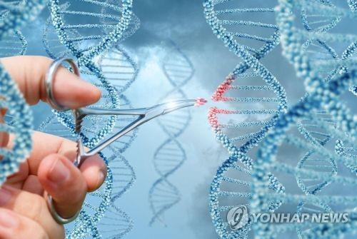 中 과기부 "'유전자 편집' 아기 출산, 명백한 규정 위반"