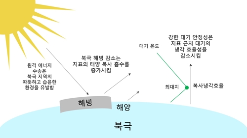 지역적 메커니즘에 의한 북극 증폭