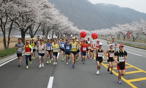 제15회 합천벚꽃마라톤대회