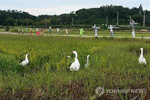 친환경 농업