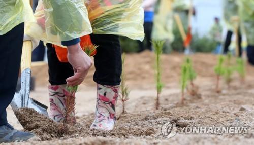 북한에 보낼 나무 심기 행사