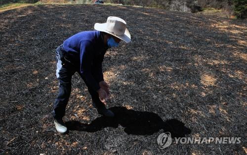 [강원산불] 80대 어르신들의 3년 희망 앗아간 도깨비 산불