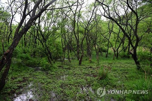 운곡람사르습지