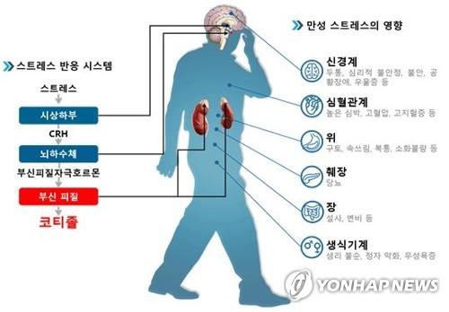 스트레스로 생기는 질환