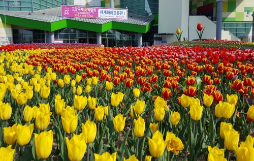 '세계 꽃들의 향연'…2019고양국제꽃박람회 내일 개막