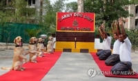 중국 '판다외교'처럼 인도는 '요가외교'로 효과 톡톡