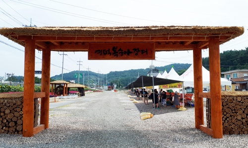 영덕 복숭아 장터