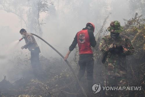 인도네시아 산불 진화 현장