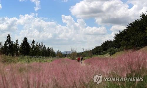 부산 올가을 들어 가장 쌀쌀…너울성 파도 주의