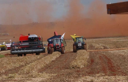 브라질의 농산물 수확 장면 [국영 뉴스통신 아젠시아 브라질]