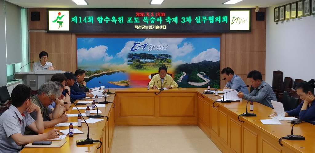 포도·복숭아축제 실무협의회