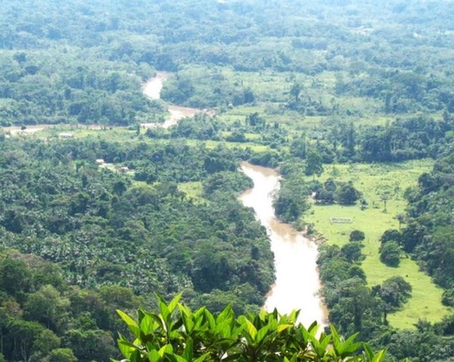 브라질-페루 국경에 있는 세하 두 지비조르 국립공원