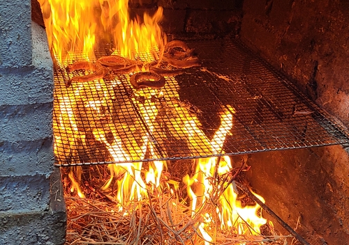 짚으로 불을 피워 굽는 곰장어 짚불구이