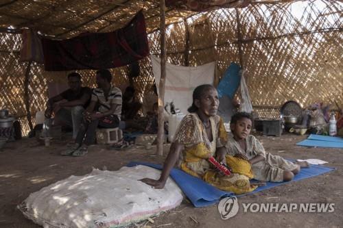 에티오피아 내전에 반군지역 주민 35만명 굶는다
