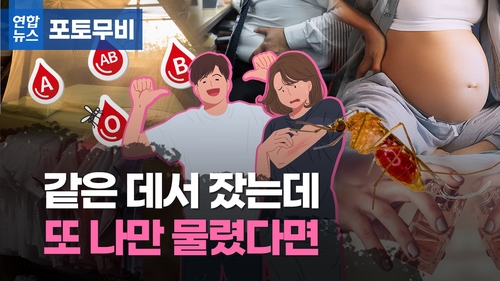 혹시 O형이라서? 나만 무는 것 같은 모기와의 한판승[포토무비] 