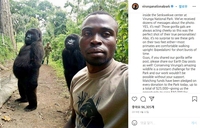 '사람과 너무 똑같은' 사진 포즈로 사랑받은 콩고 고릴라 숨져