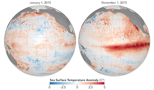 엘니뇨 이전(왼쪽)과 엘니뇨 기간의 바닷물 표면 온도 비교 