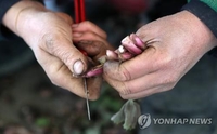 전북 농산물 '머위·쪽파'서 잔류농약 검출…생산자에 행정처분