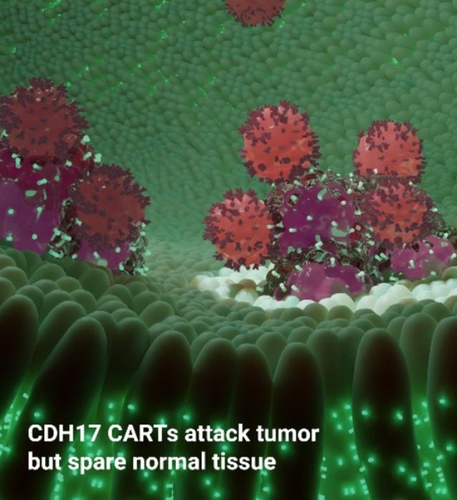 혈액암만 듣던 CAR-T, 고형암 제거 이끄는 '종양 항원' 발견