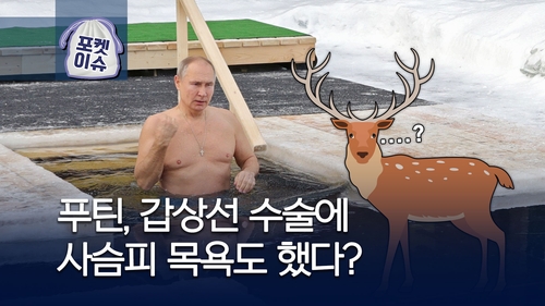 [포켓이슈] "푸틴, 갑상선 수술받고 사슴피 목욕도 했다"