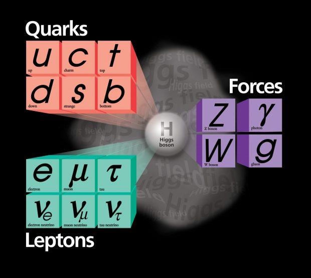 Quarks e léptons, o bóson que medeia as interações entre partículas, e a descoberta da última partícula de Higgs