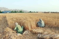 '식량 부족' 아프간 탈레반 정부도 밀 수출 금지