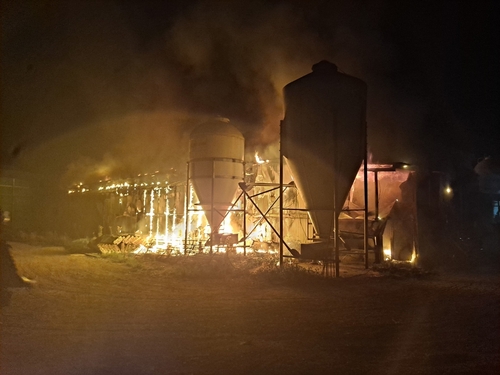 영천 돼지농장서 화재…2천마리 타 죽어