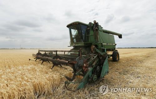 우크라이나 밀 수확