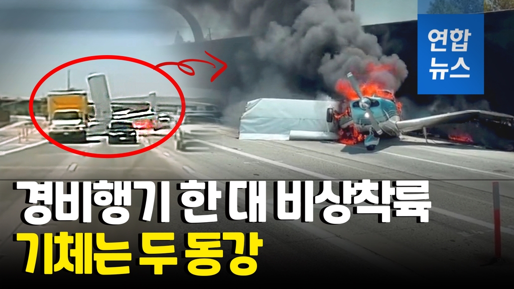 [영상] "공항 활주로가 바로 저긴데"…경비행기, 고속도로에 불시착 - 2