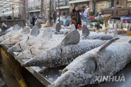 중국의 한 수산시장에 진열된 냉동 생선
