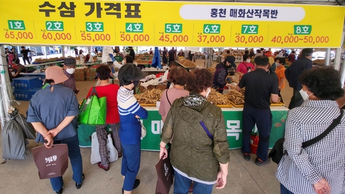 홍천 인삼한우 명품축제 찾은 관광객