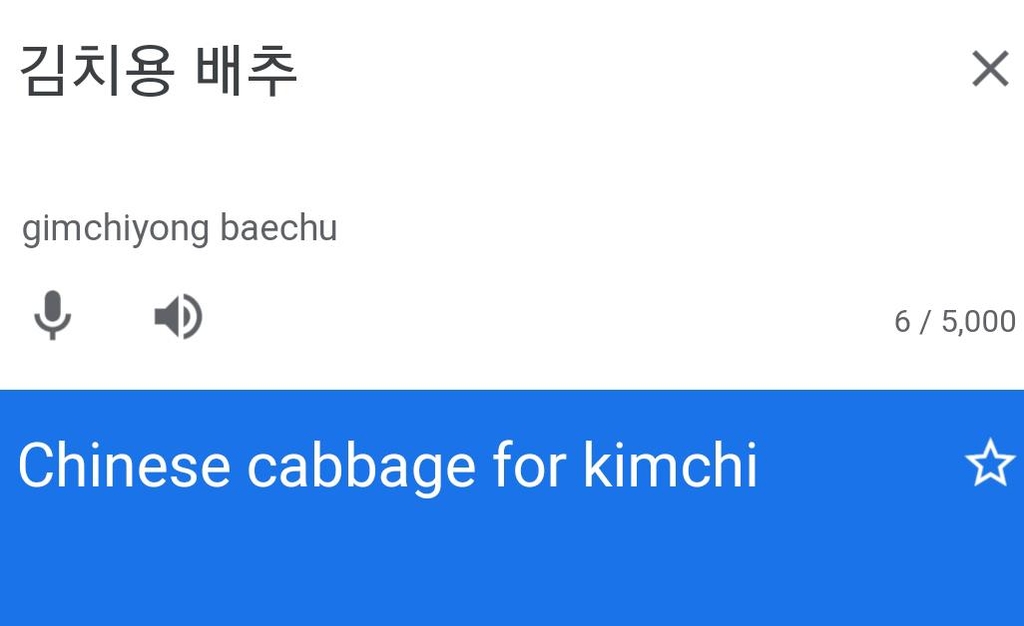 구글 번역기서 '김치용 배추'를 검색하면 나오는 영어 표기