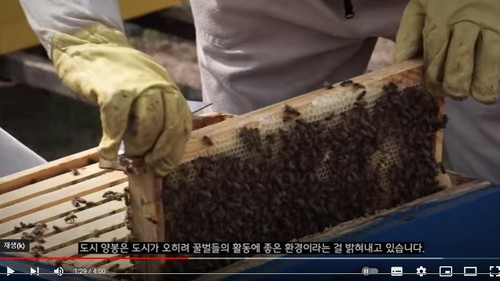 [게시판] 서경덕, 꿀벌의 소중함 알리는 영상 제작