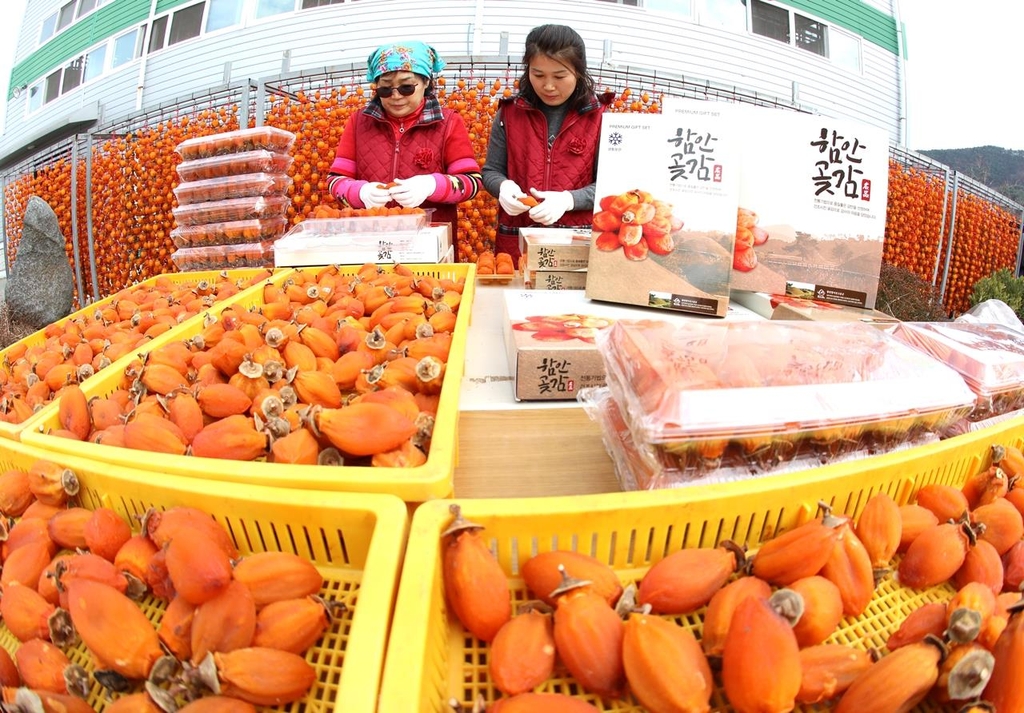 함안 곶감 맛보세요!