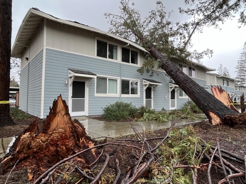  美 서부 겨울폭풍 강타…한인 거주 아파트 30ｍ 나무 덮쳐